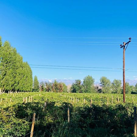 Finca Tierra Calma Casa 1 バレアル エクステリア 写真