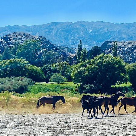 Finca Tierra Calma Casa 1 バレアル エクステリア 写真