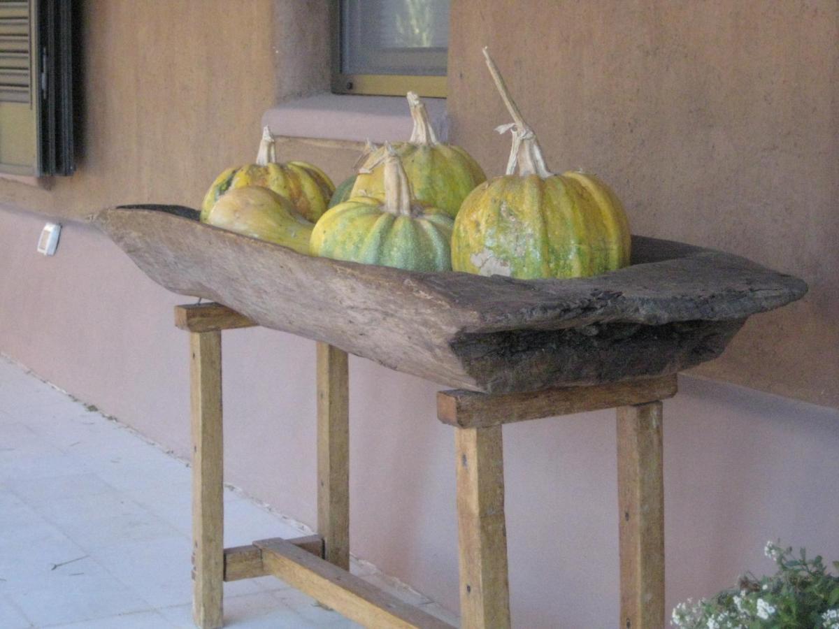 Finca Tierra Calma Casa 1 バレアル エクステリア 写真