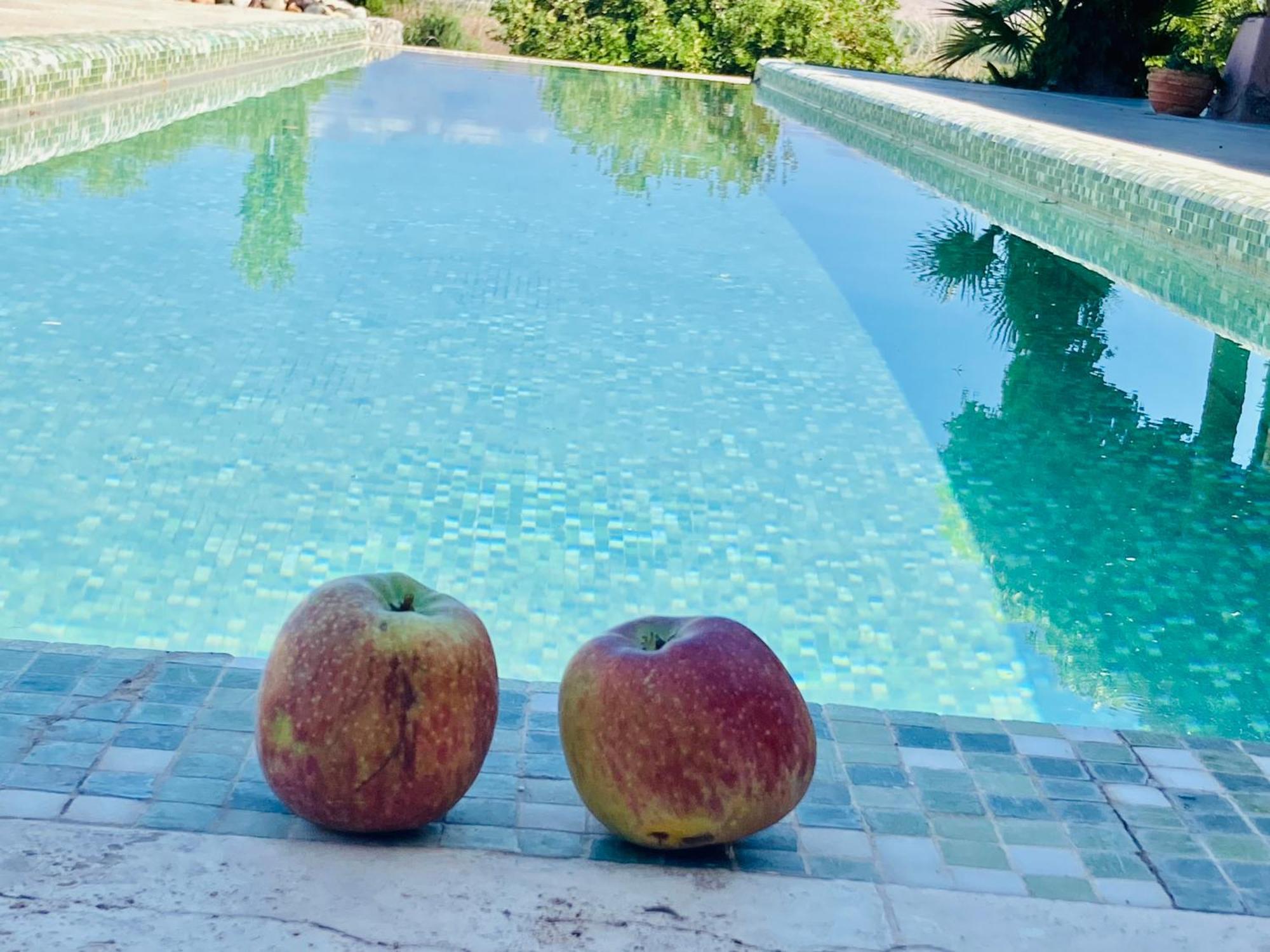 Finca Tierra Calma Casa 1 バレアル エクステリア 写真