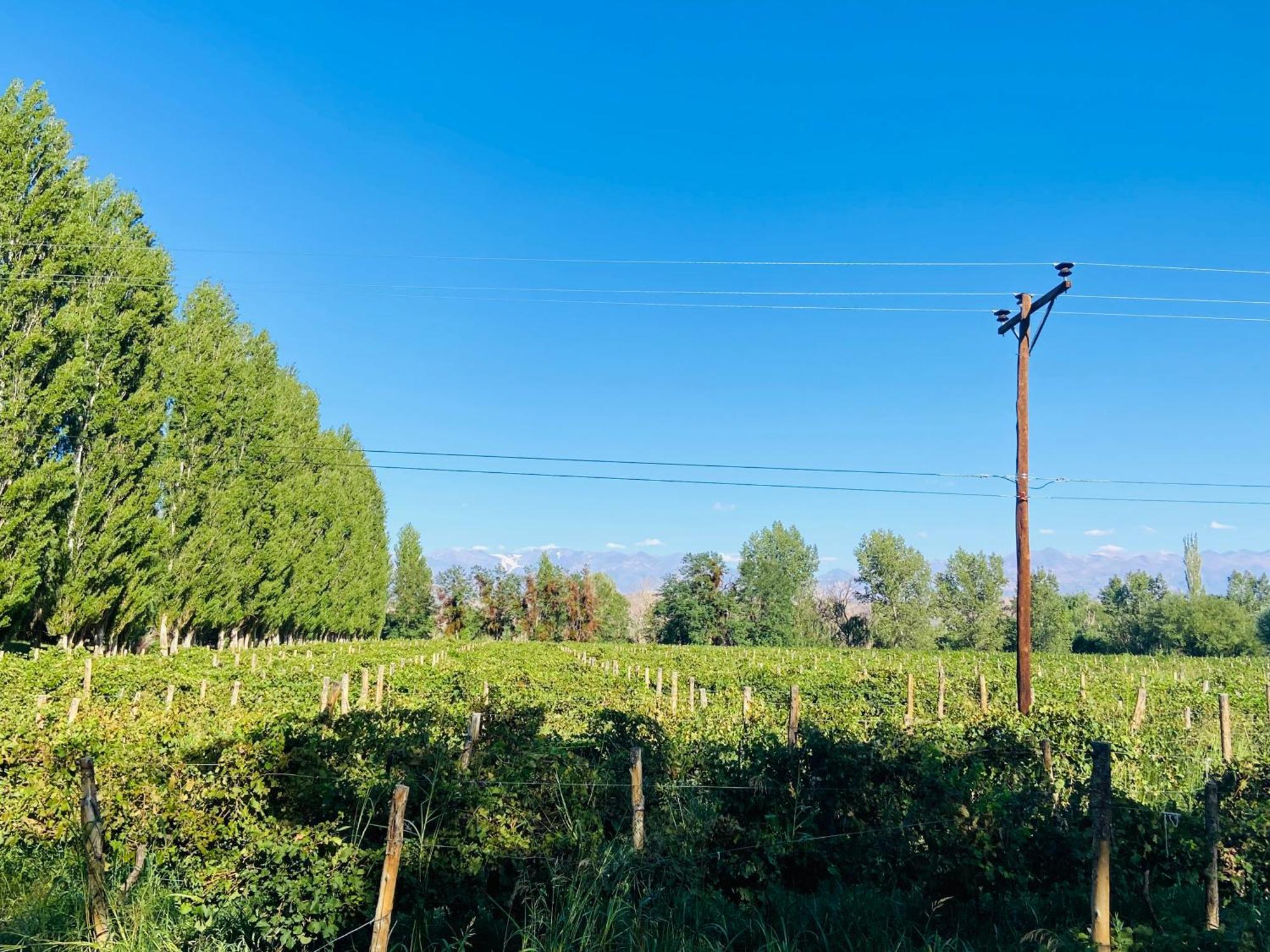 Finca Tierra Calma Casa 1 バレアル エクステリア 写真