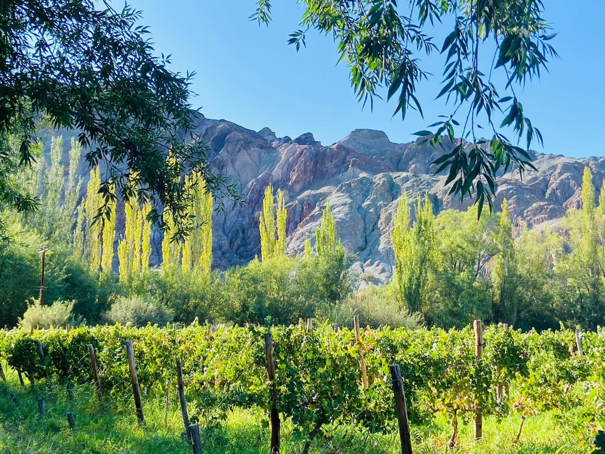 Finca Tierra Calma Casa 1 バレアル エクステリア 写真